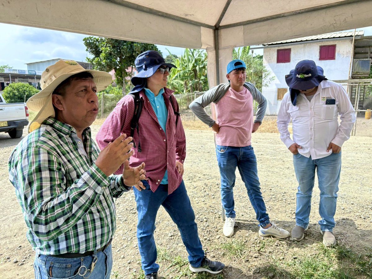 INIAPECUADOR's tweet photo. 🌽 En La Laguna (Manabí) realizamos la evaluación participativa de híbridos promisorios de maíz amarillo duro 🌱

Productores, empresa privada y academia analizaron su comportamiento agronómico, fitosanitario y adaptación local, buscando nuevas alternativas para el trópico seco. https://t.co/mLWEonuYei