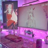 Many Piece tweet media