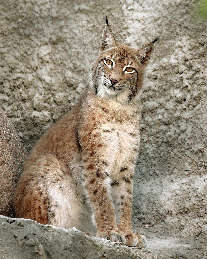 ☀️Lyef🍃 tweet media