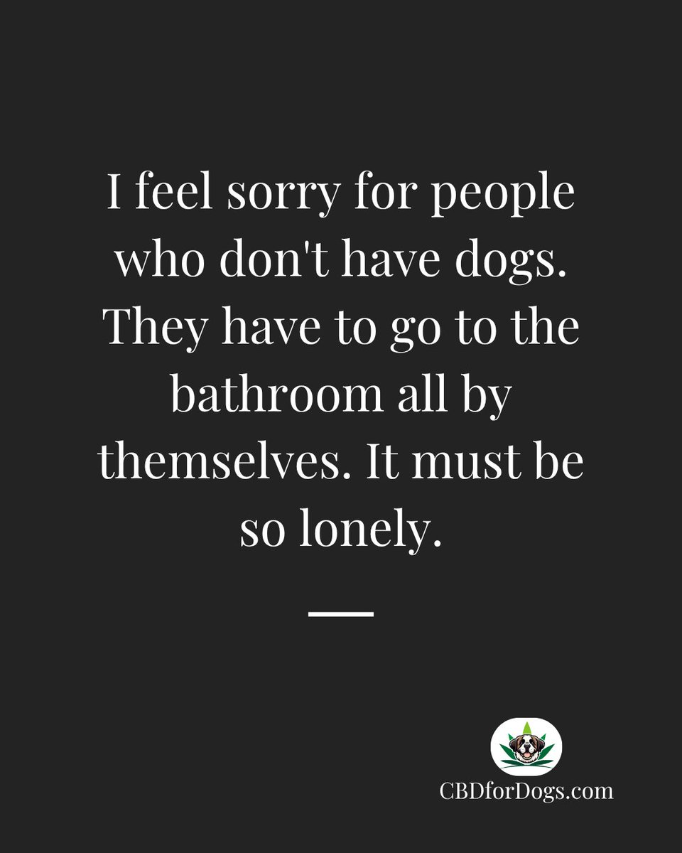 cbdfordogs's tweet photo. No matter where you are, dogs are great company!

https://t.co/3T3OEGVexI, where we love your dog💗 https://t.co/uwu3TBtOes