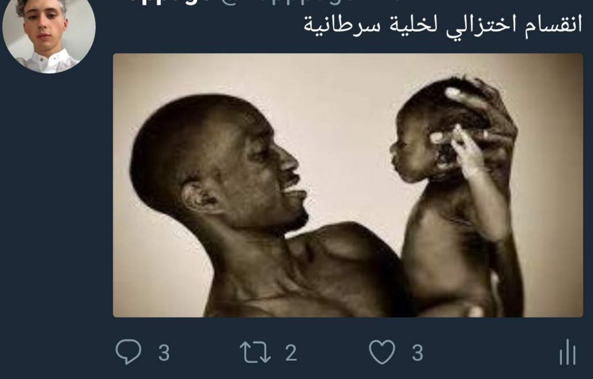 mobedien tweet media