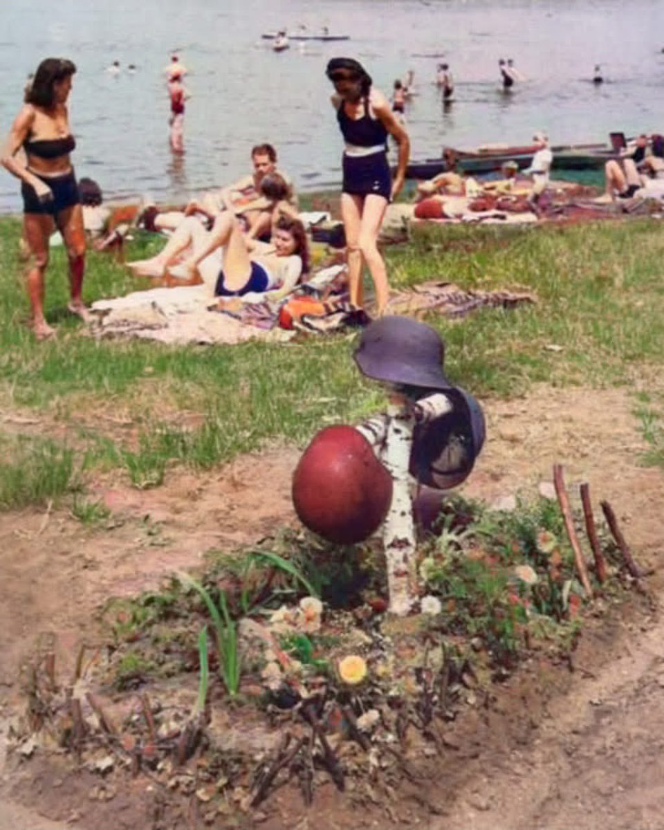 Voices of WW2 tweet media