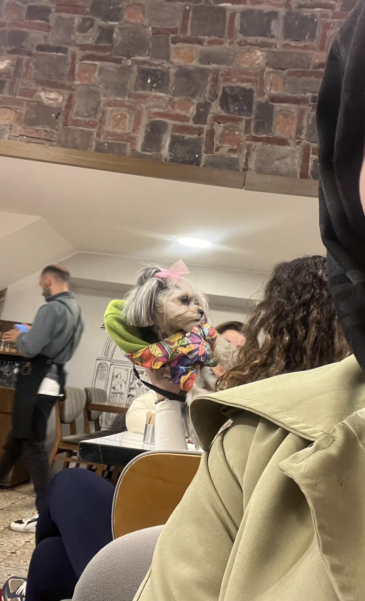 sen simdi görürsün tweet media