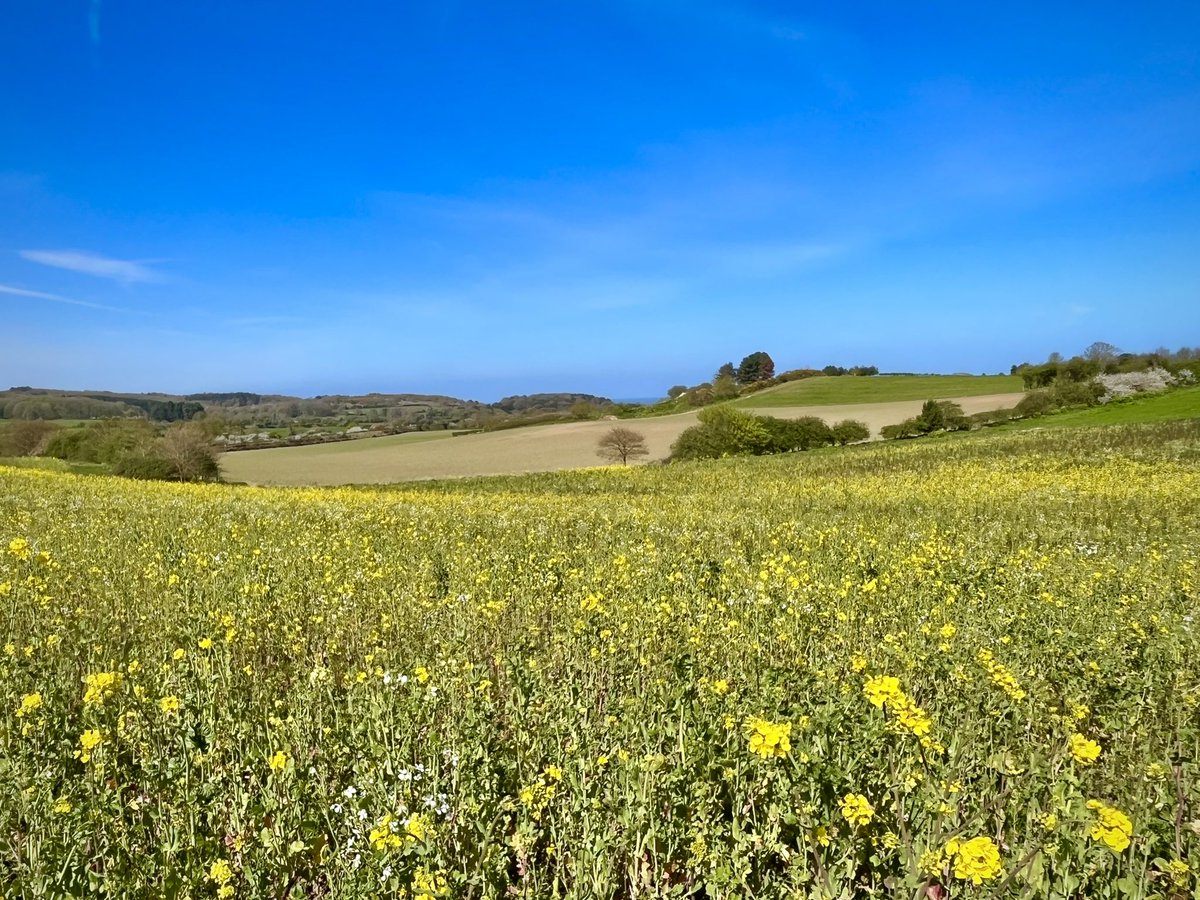 TractorWalking's tweet image. Sunny but a bit chilly in Cromer, East Runton and Overstrand today… @WeatherAisling @ChrisPage90 @StormHour @metoffice #loveukweather #Norfolk