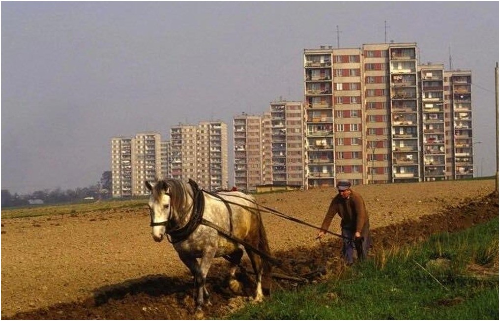 Nostalgia tweet media