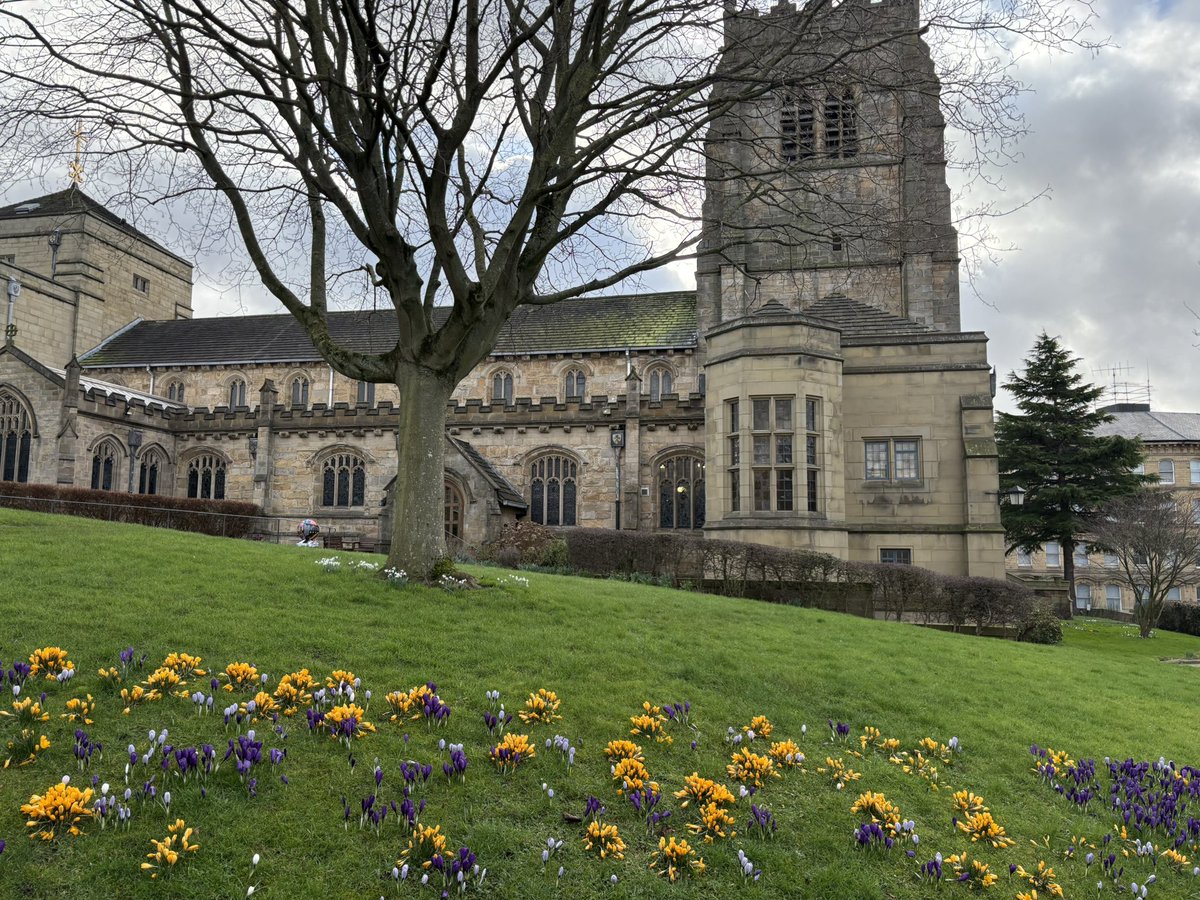 NotOut 🏏 tweet media