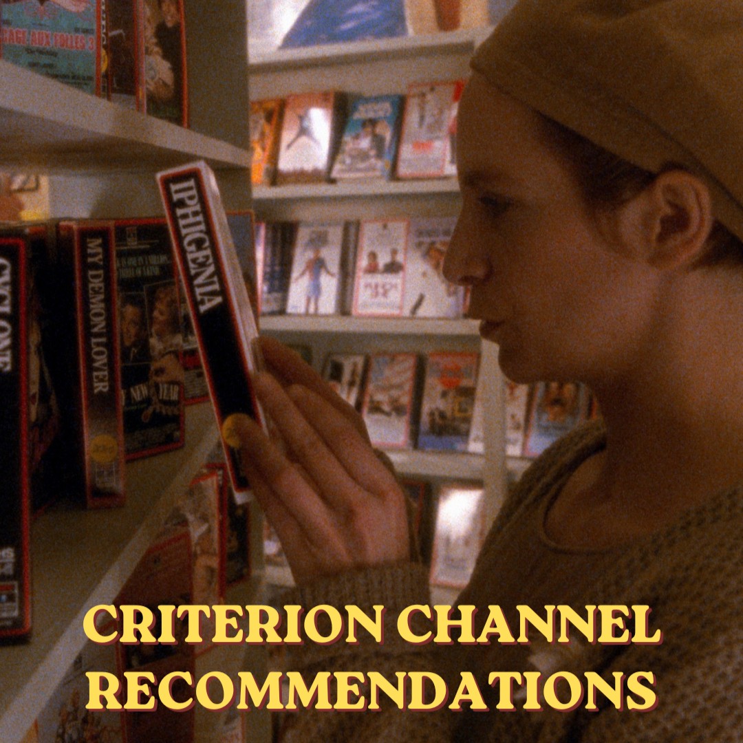 Criterion Collection tweet media