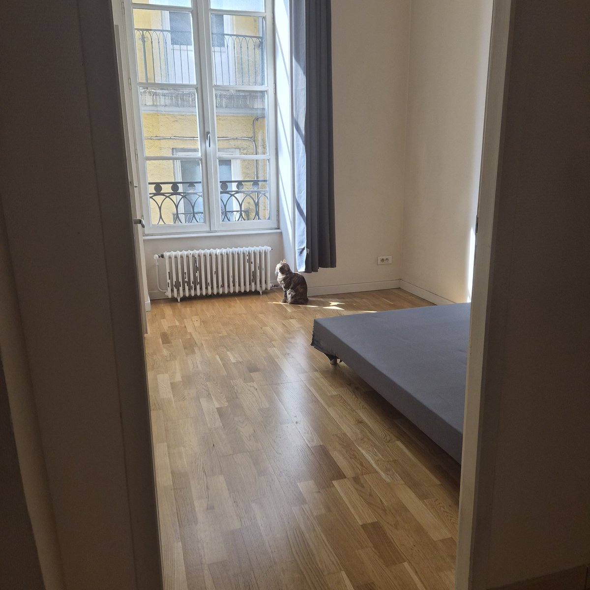 Chicandrebel's tweet image. Salut salut gens de Lyon, si jamais ma coloc est partie et je cherche quelqu'un de safe pour la remplacer 🌸 
Chambre non meublée dans le 1er avec placard intégré, loyer de 610€ charges comprises, dispo dès maintenant ☀️

(on passe par une agence donc frais à prévoir)
