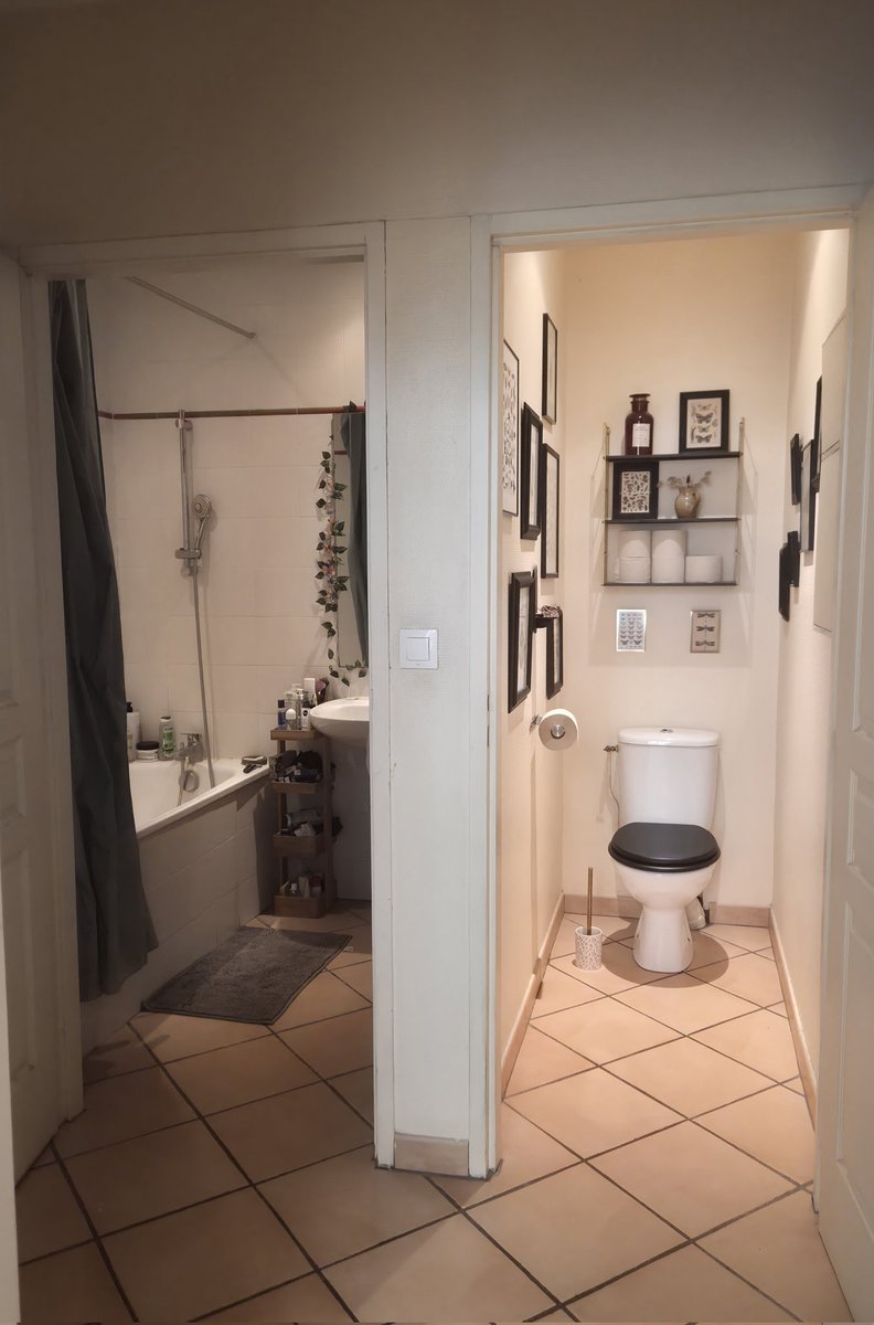 Chicandrebel's tweet image. Salut salut gens de Lyon, si jamais ma coloc est partie et je cherche quelqu'un de safe pour la remplacer 🌸 
Chambre non meublée dans le 1er avec placard intégré, loyer de 610€ charges comprises, dispo dès maintenant ☀️

(on passe par une agence donc frais à prévoir)