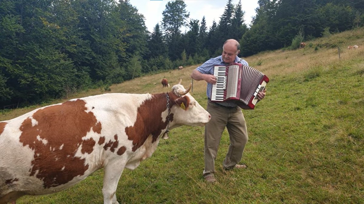 mouse_math's tweet image. the world needs less men obsessed with weaponry and more men serenading cows with accordions.