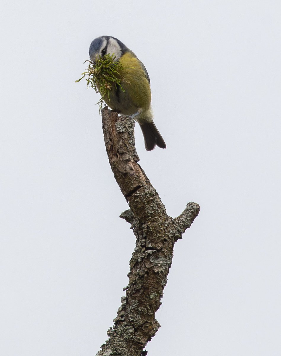 Rob Mould tweet media