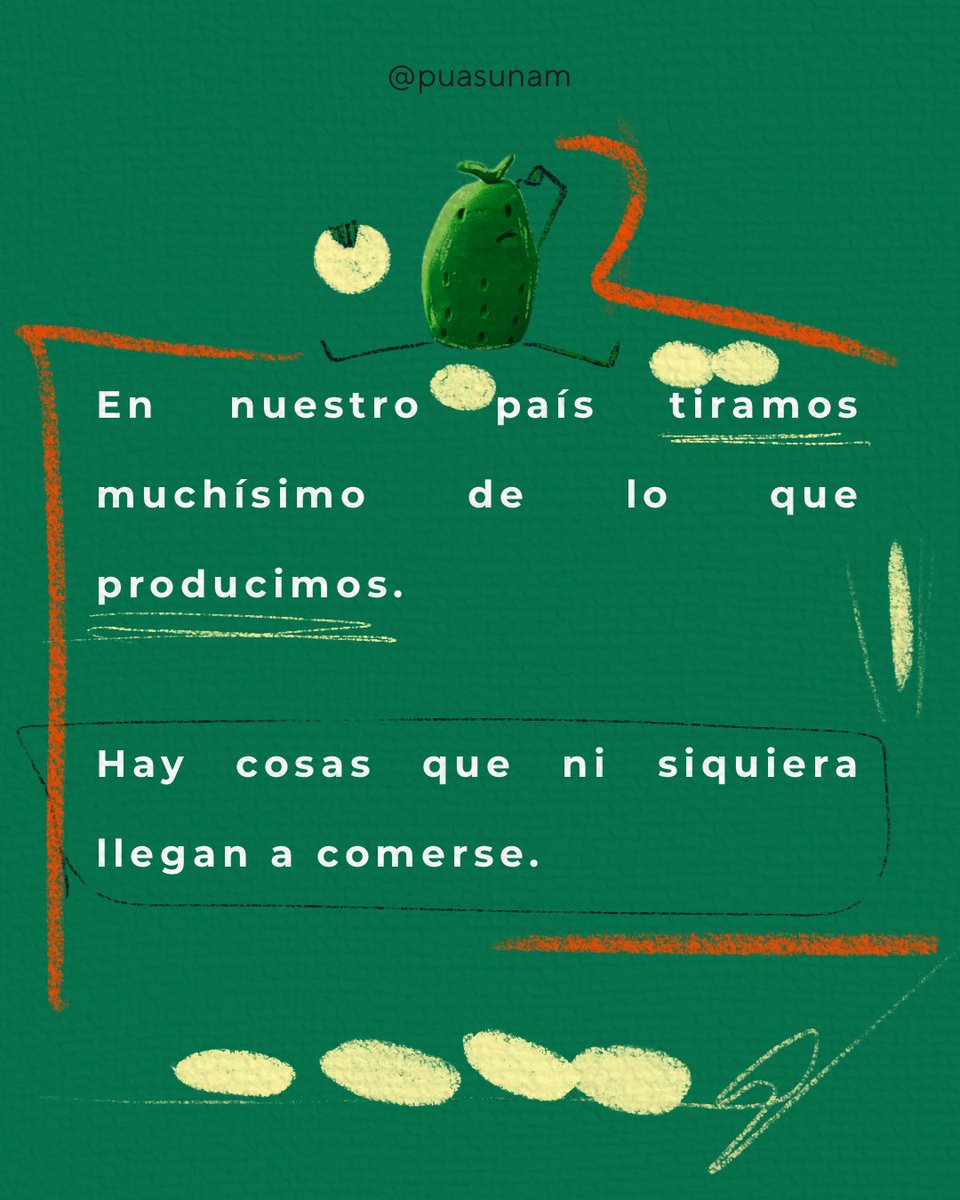 Alimentación Sostenible UNAM tweet media
