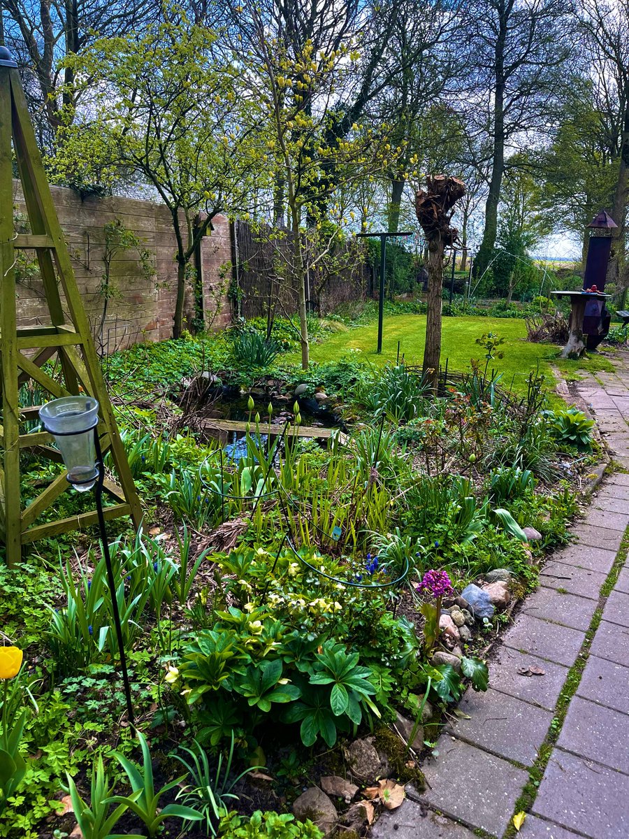 🌱 M 🐝 🌈 tweet media