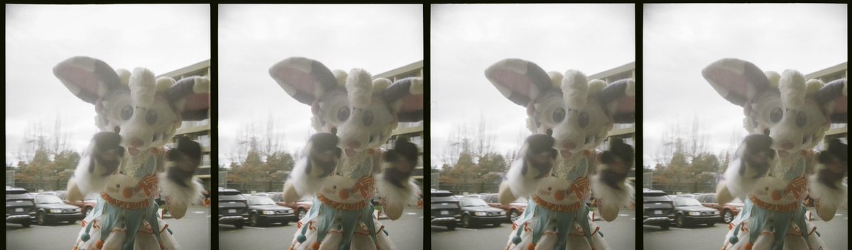 Terell Ward tweet media