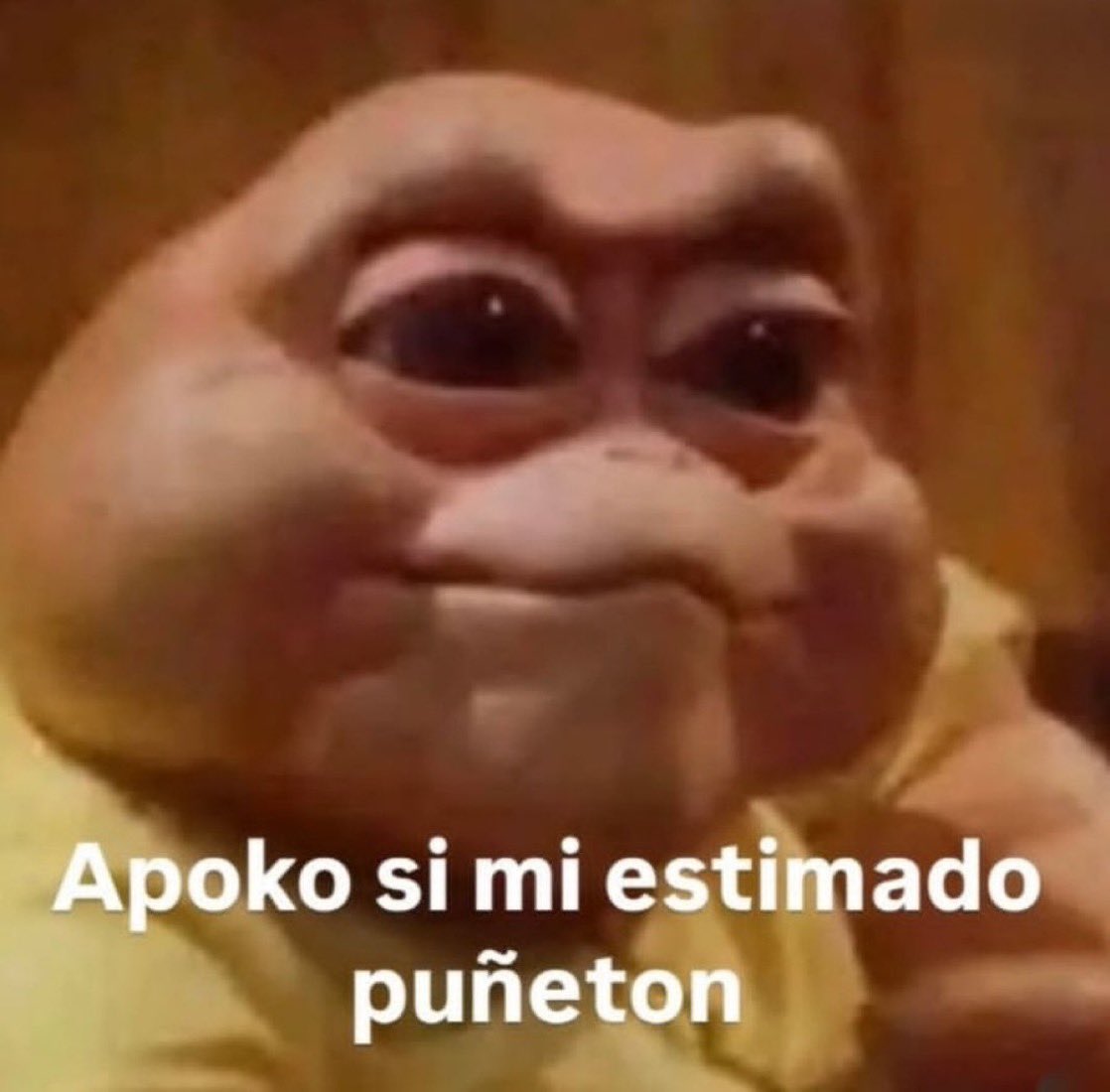 The Coon tweet media