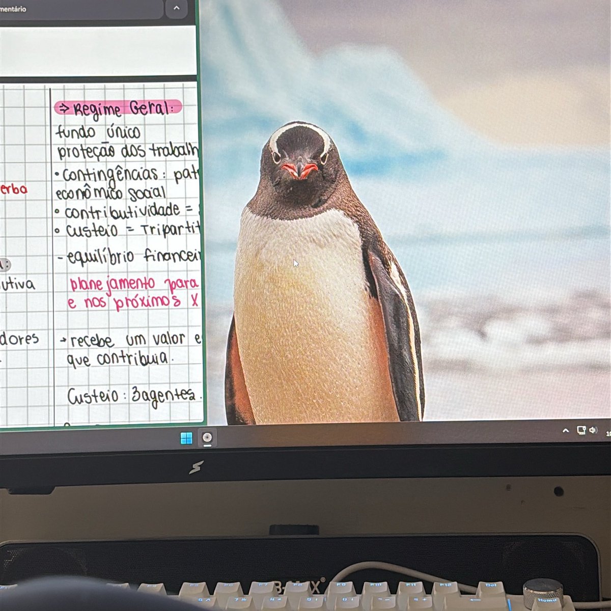 gi ⚖️ tweet media