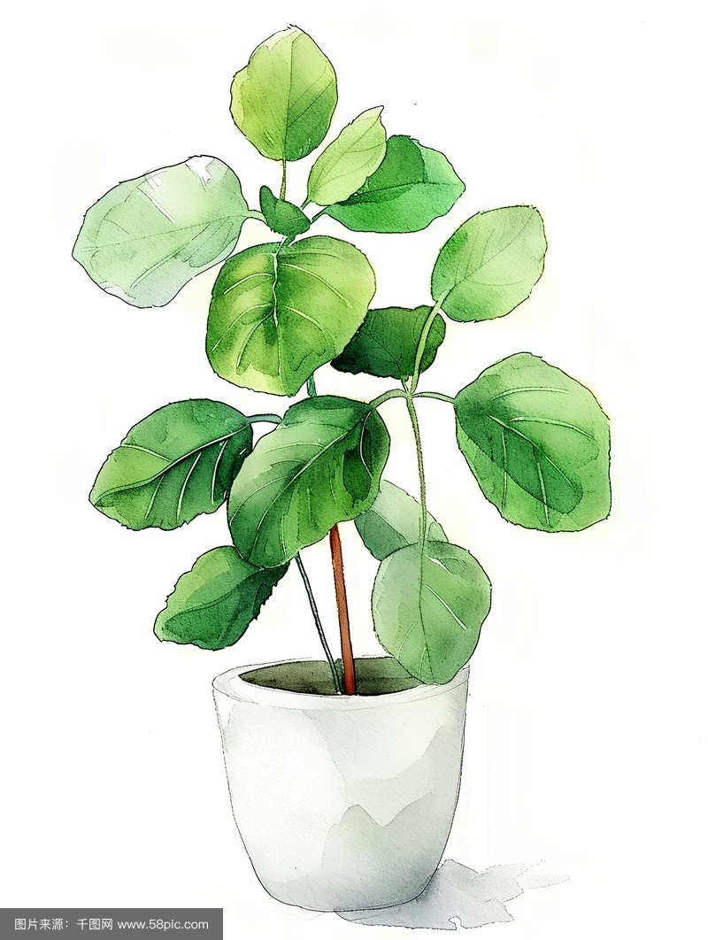 Ноженко tweet media