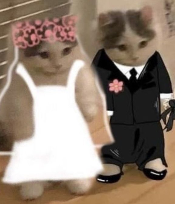 ⋆𝐒𝐲𝐥𝐮𝐜𝐲 | ⋆𝐀𝐩𝐫𝐢𝐥𝐮𝐬⋆ tweet media