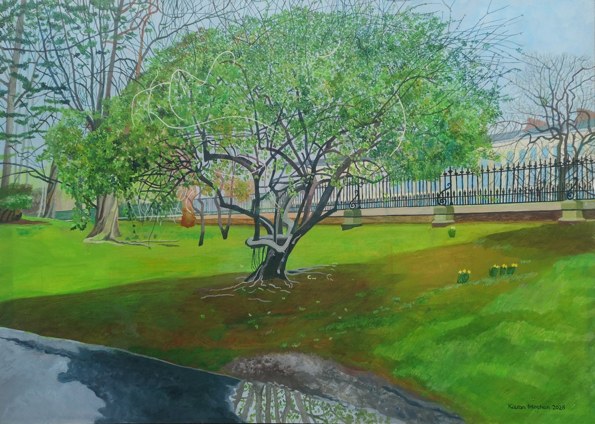 'Botanic Gardens, Great Western Road' 15x21" wide. Acrylic on CS2 Board. 2026. #art #painting