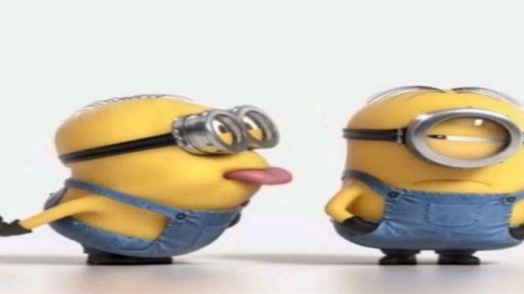 понняшка⁸ 🎧 enhypen⁷ tweet media