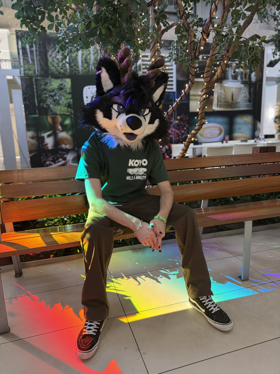 Raziihell's tweet photo. the dog at the end of the rainbow ✨🌈

#FursuitFriday https://t.co/Jl5NQQ0vNb