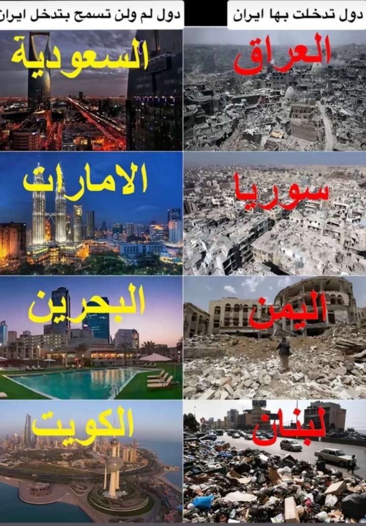 معاويه الفضلي tweet media