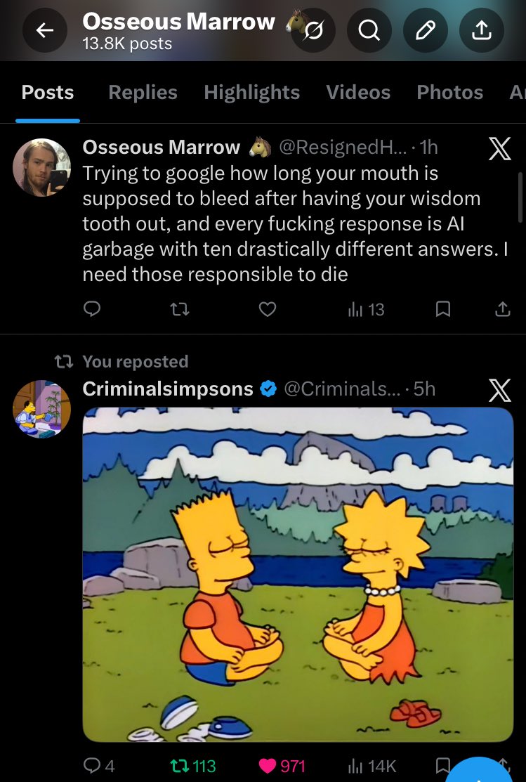 Osseous Marrow 🐴 tweet media