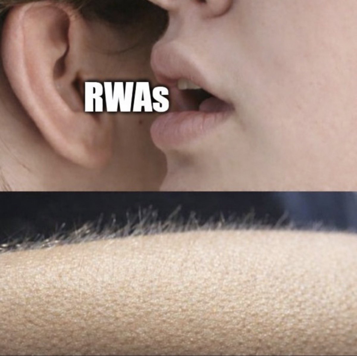 kbwofficial's tweet image. 