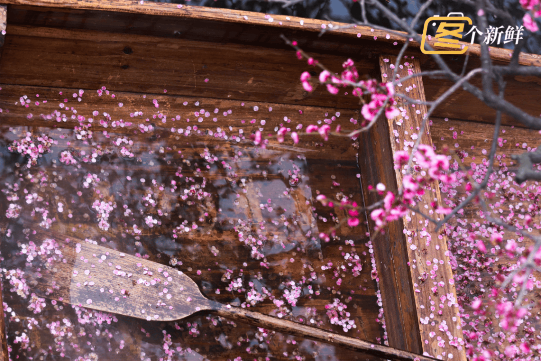 Jacob njeru tweet media