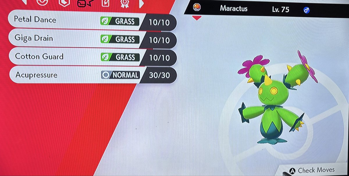 Fraggle_Drums's tweet image. #Maractus #L75 #UltimatePokémonQuest #Pokemon
