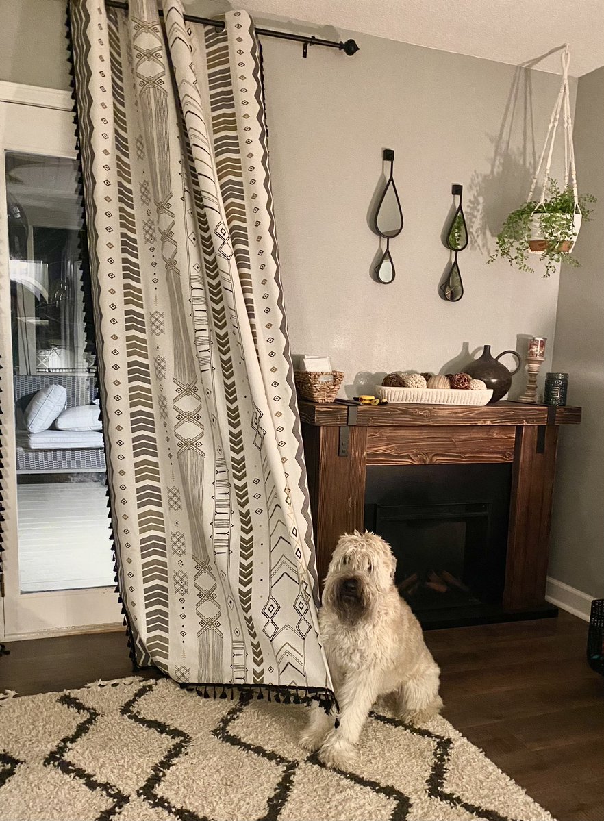SirWilliamChes1's tweet image. When you jump so much your foot gets stuck in the curtain you just unraveled. He knew too…. Wasn’t even blinking when I walked in 😂
 #dogoftheday #wheatenterrier  #dogs #dogsofttiktok #dogsoftiktokviral  #dogsofinstagram #dogsofx