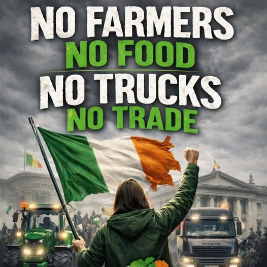 Sovereign 🪙 tweet media