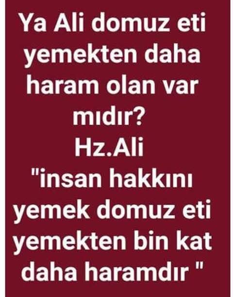 <a href="/sokakkedisitv/">Sokak Kedisi</a> Başka söze gerek var mı?