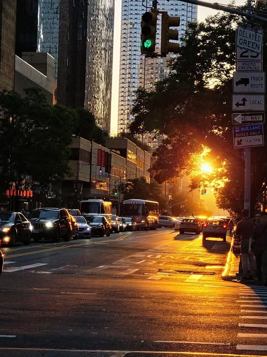 rachelhalinasor's tweet image. New York sunset☀️🌅
#newyork #usa #USAToday🇺🇸🇺🇸