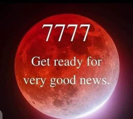 ProgressCode🌺 tweet media