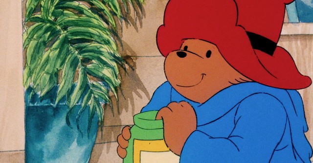 daily paddington tweet media