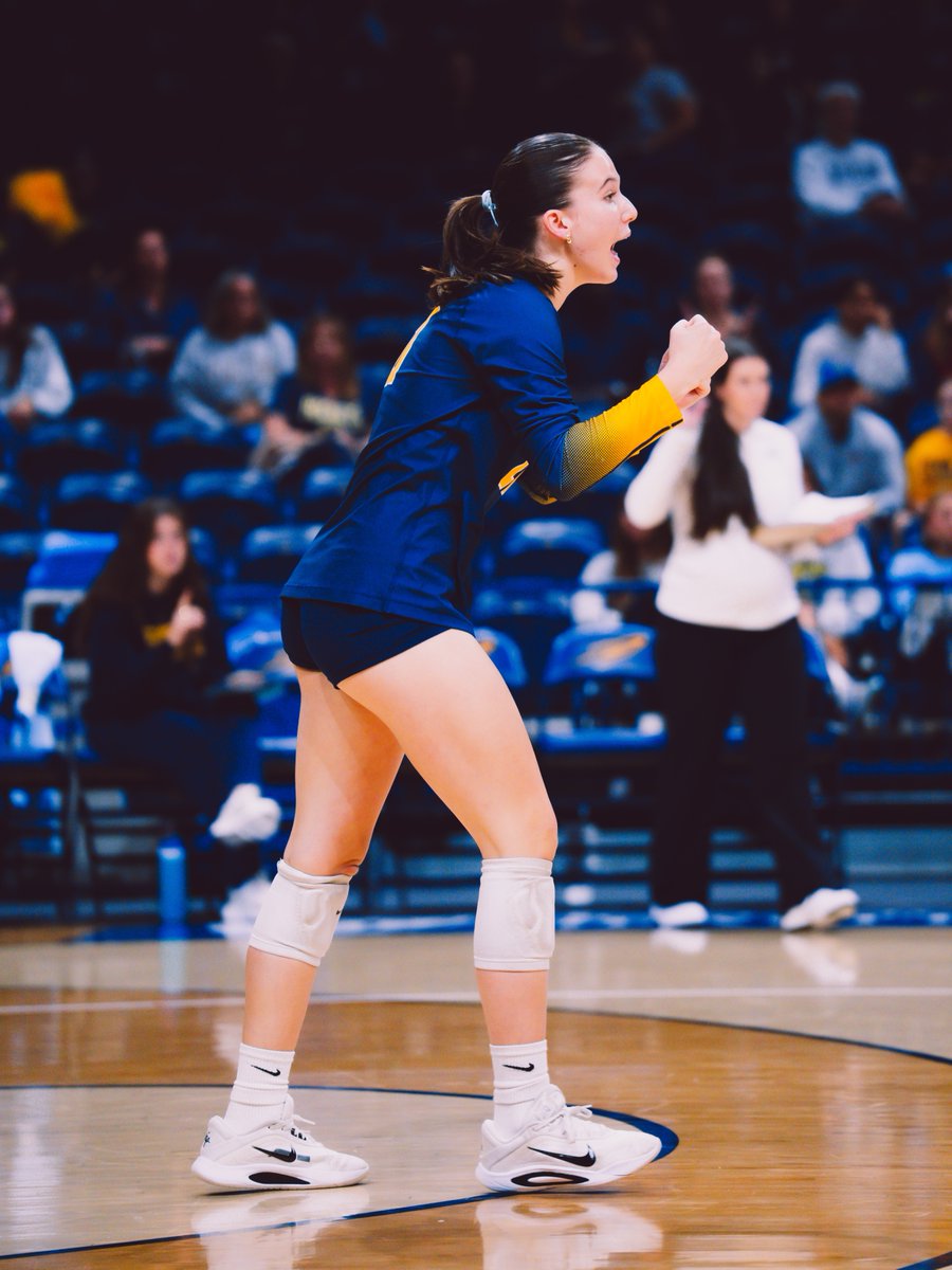 Toledo Volleyball tweet media