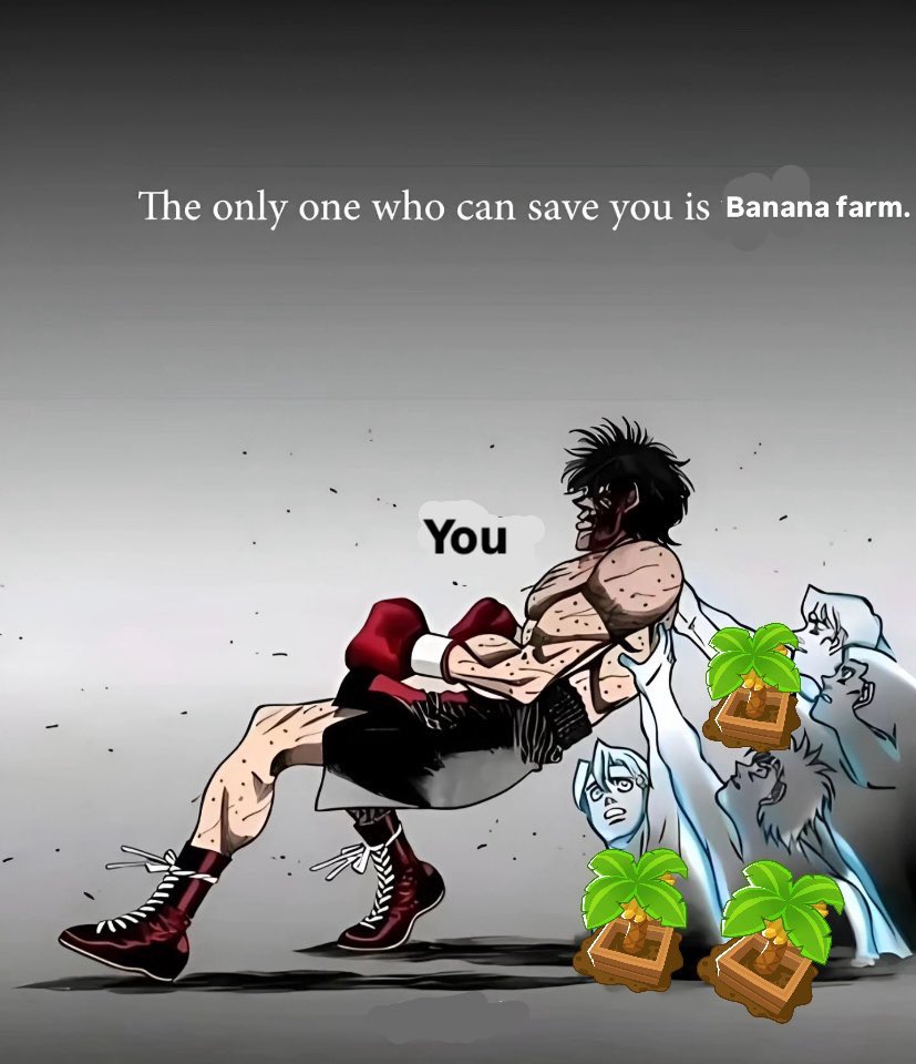 Banana Farm 🍌 tweet media