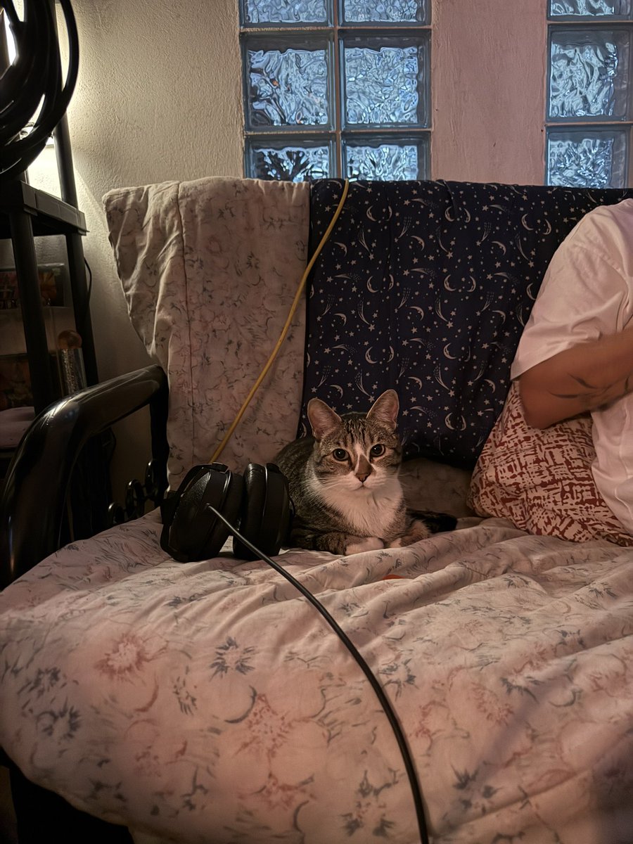 Exael Salcedo Garcés tweet media