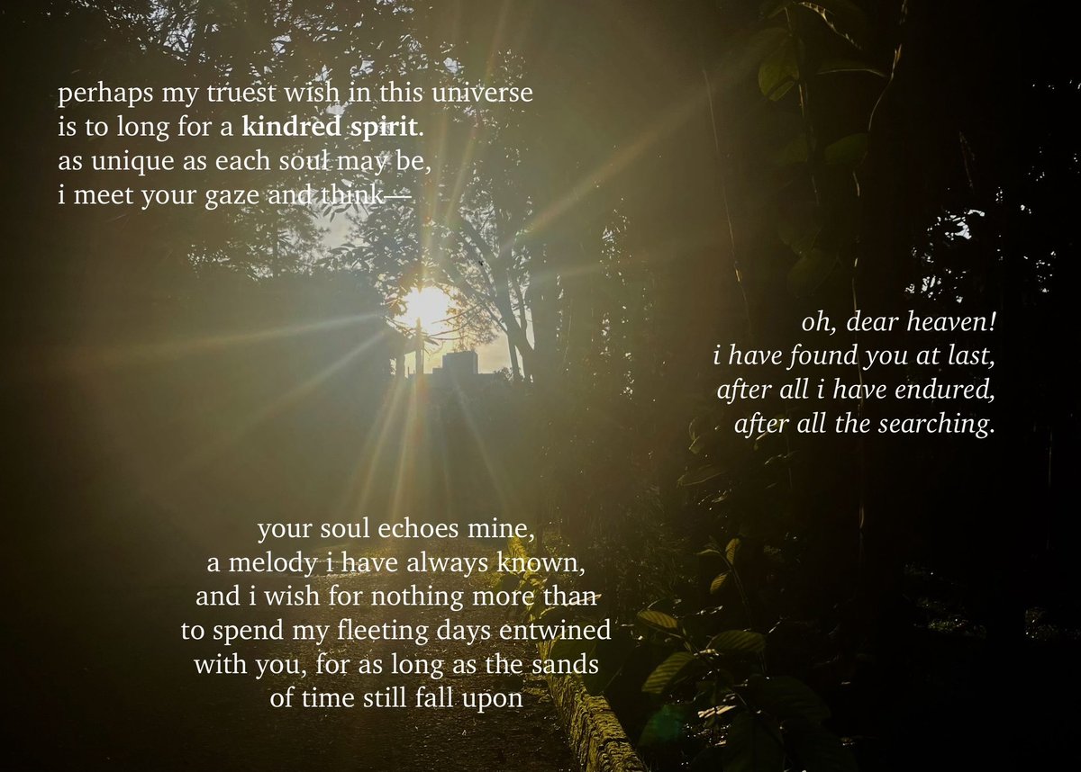 lumimi𓂃 ࣪˖ ִֶָ𐀔 tweet media