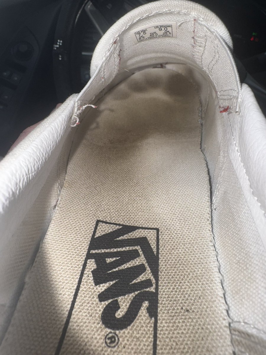 madi mae tweet media