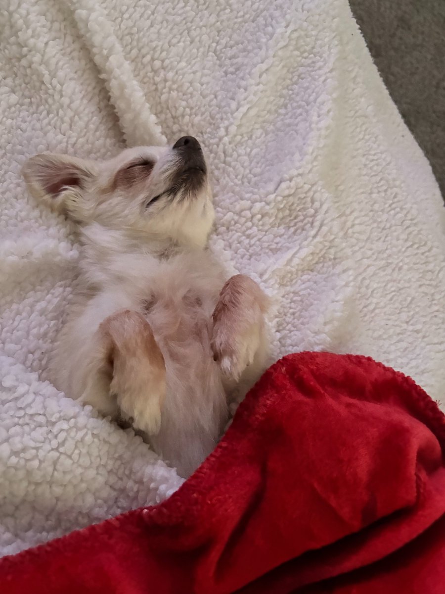 Cathy Russon tweet media