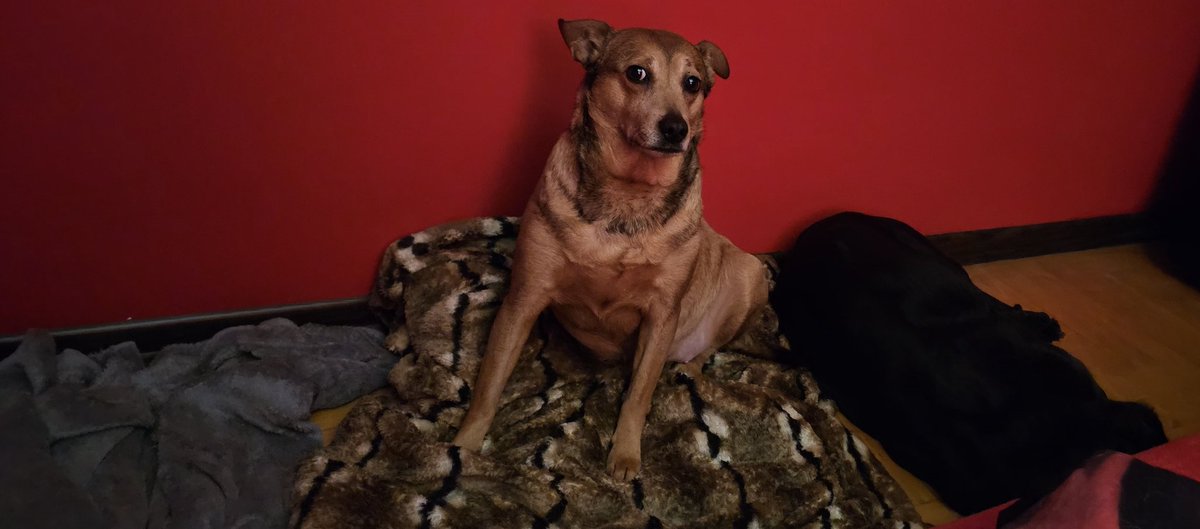 Marta Lokje tweet media