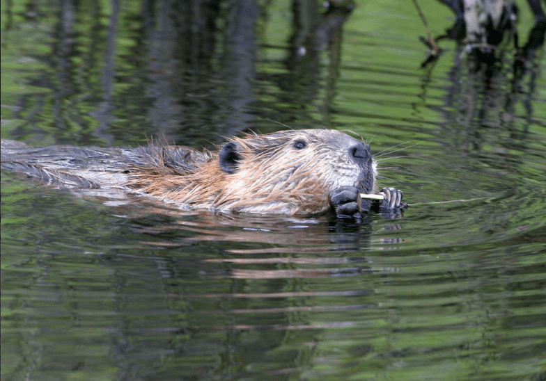 Alliance For The Bay tweet media