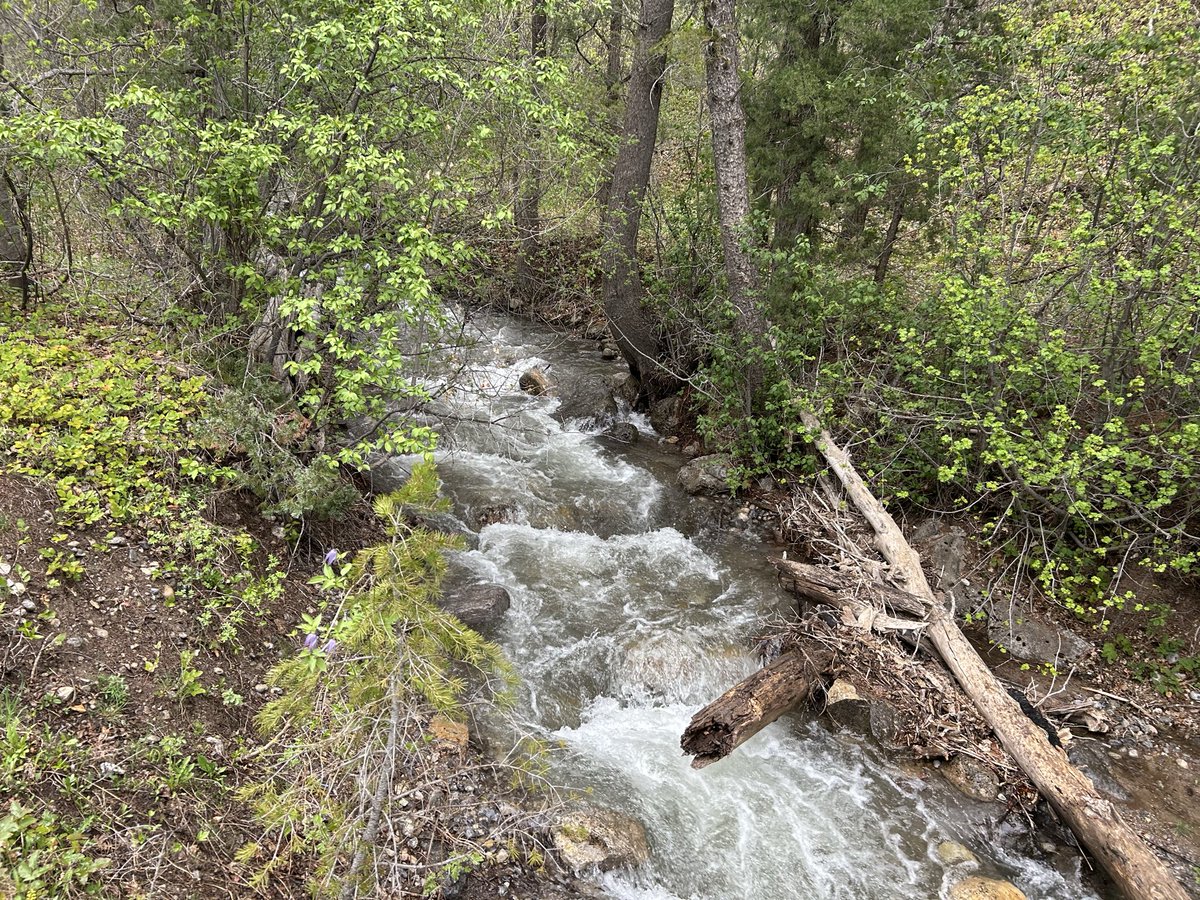 Max Heady tweet media