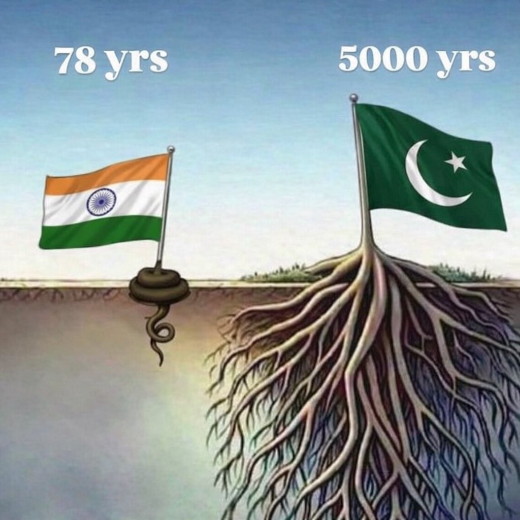 Mavia Khalol tweet media