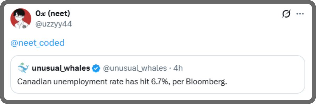 neet coded tweet media