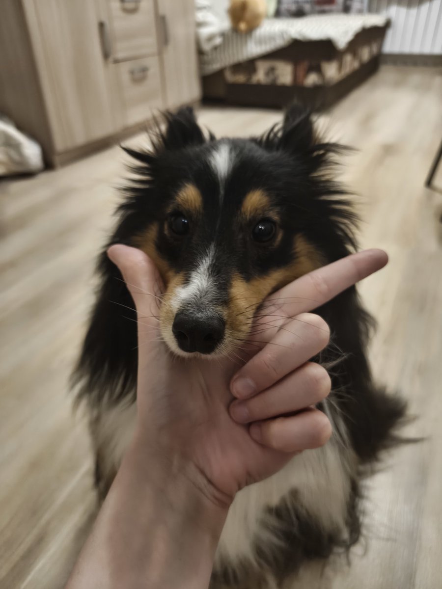 Шелтон весёлый дединсайд🏁 tweet media