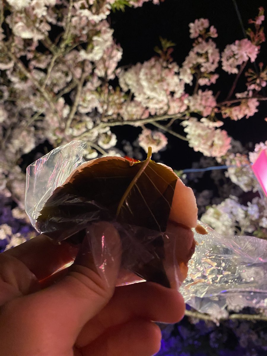 morikeit's tweet photo. 今年の春は桜見て桜餅食べたよ https://t.co/XnPb3Yrwq1