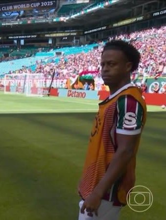 Bardo Tricolor tweet media